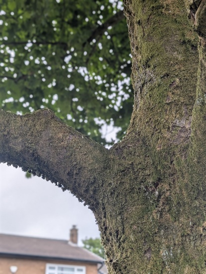 Strong Connections
