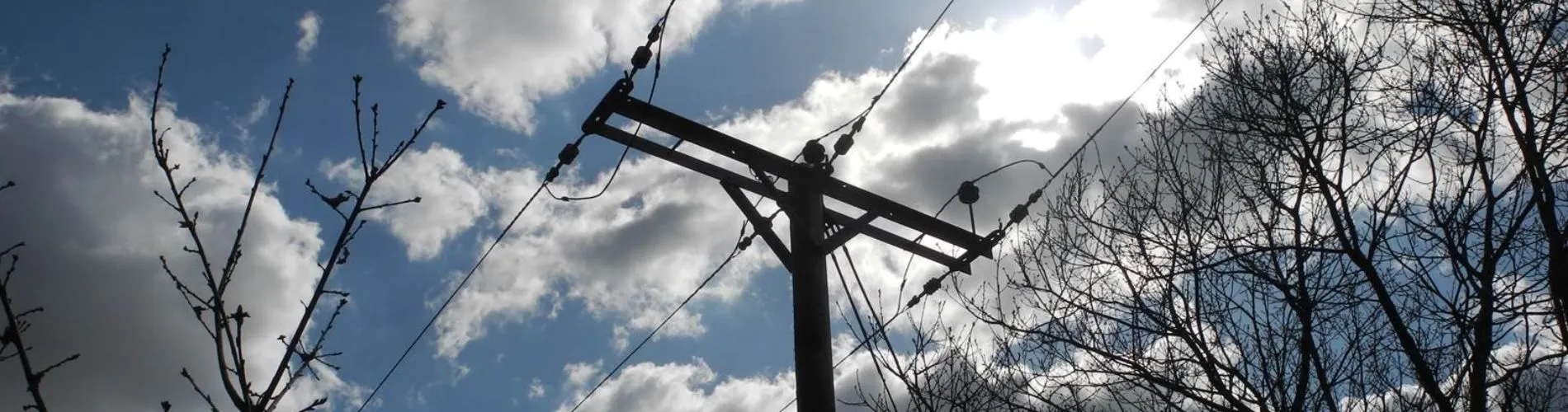 Utility Vegetation Surveys